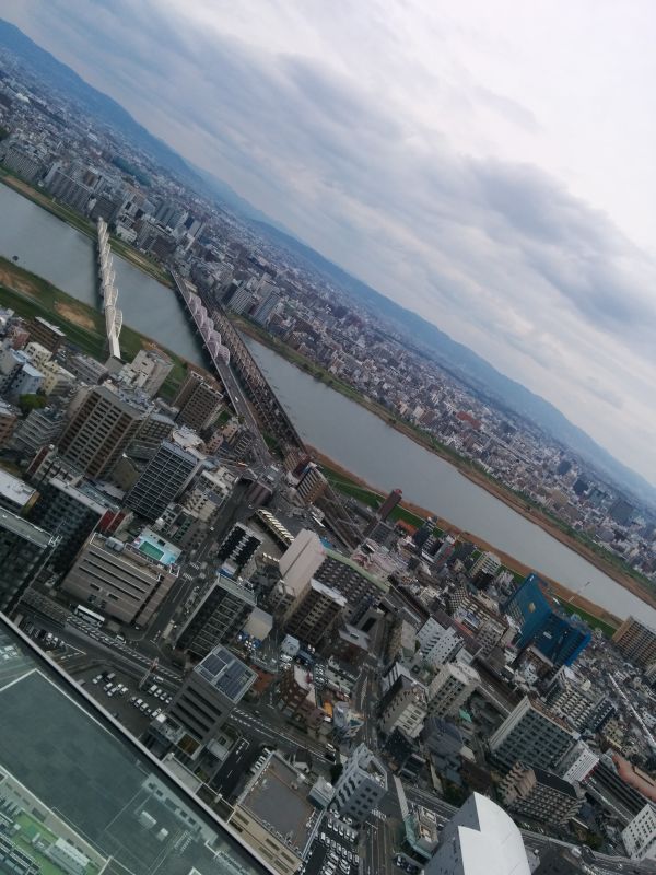 淀川の風景