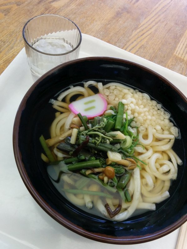 本日の昼食