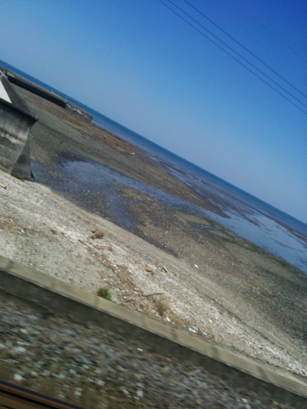 潮干狩り風景