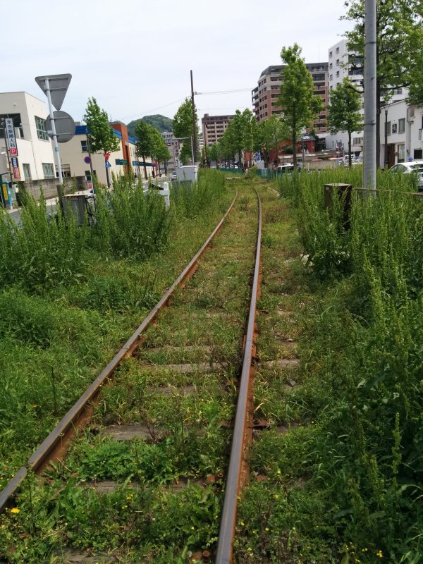線路脇の雑草