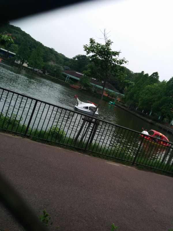 東山ボート