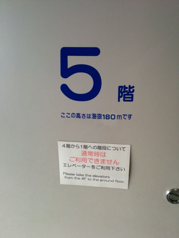 ５階の高さ