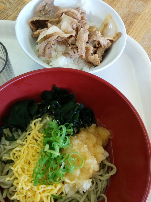 本日の昼食