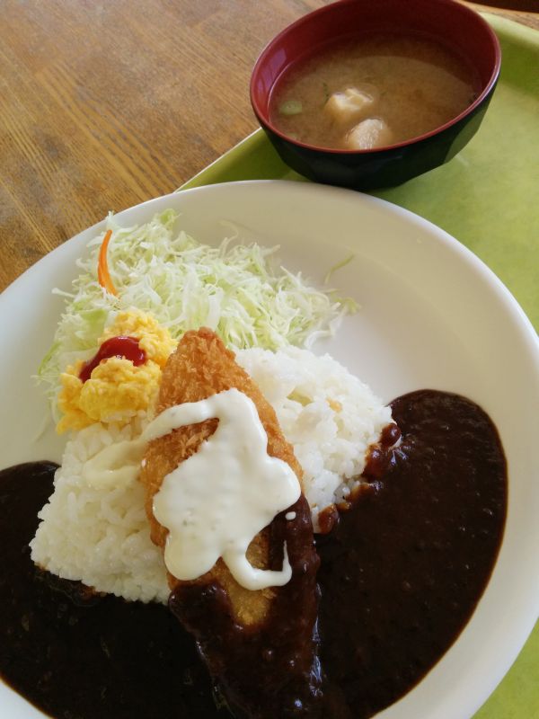 本日の昼食