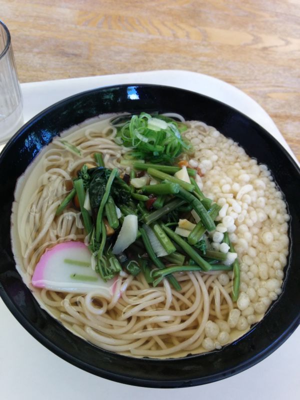 本日の昼食