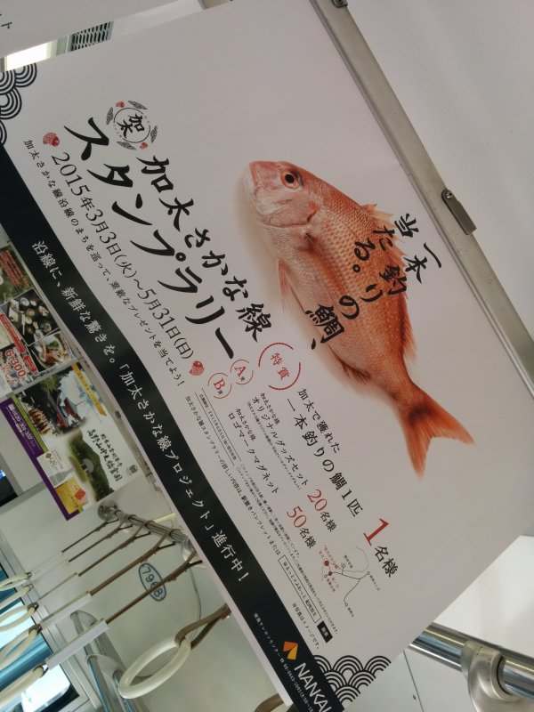 一本釣りの鯛、当たる。