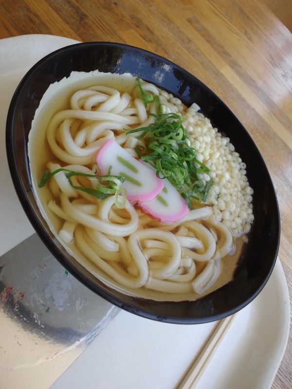 本日の昼食