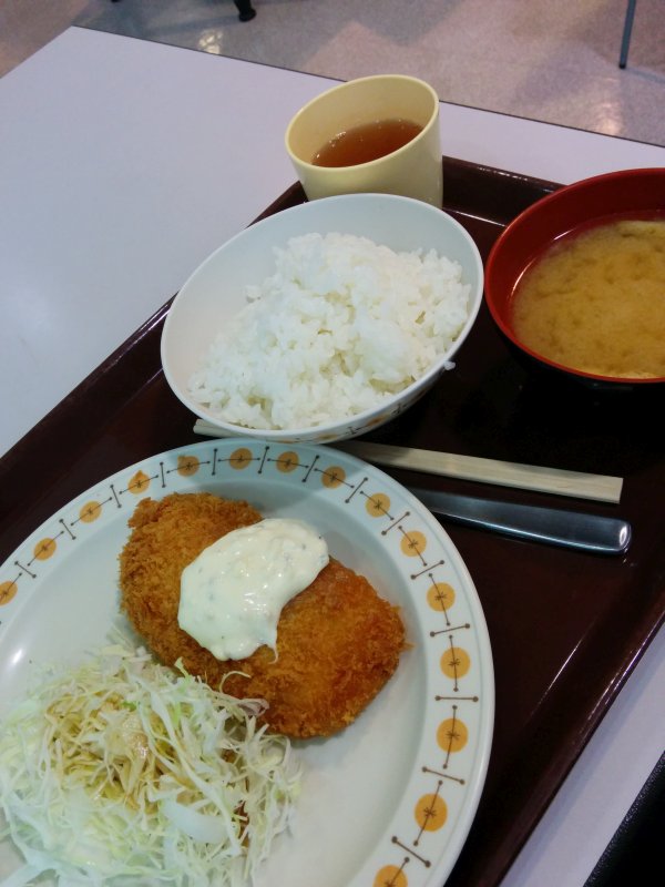 本日の昼食