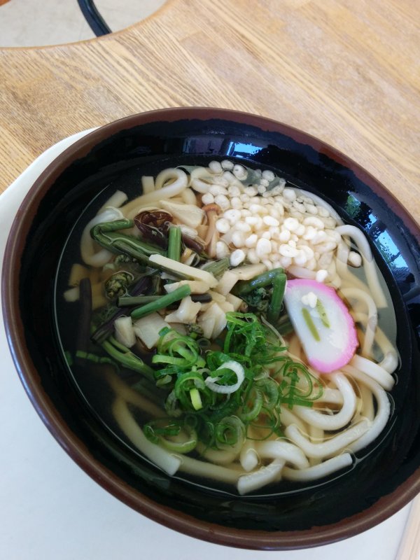 本日の昼食