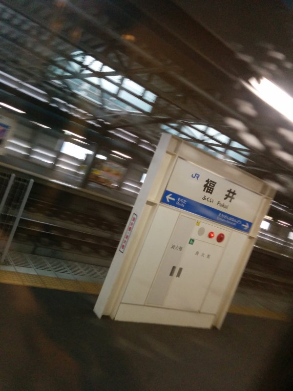 福井着