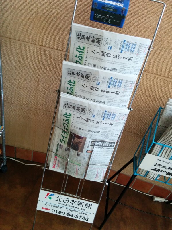 本日の新聞