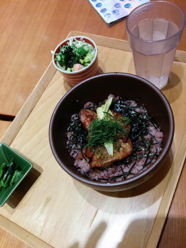 本日の夕食