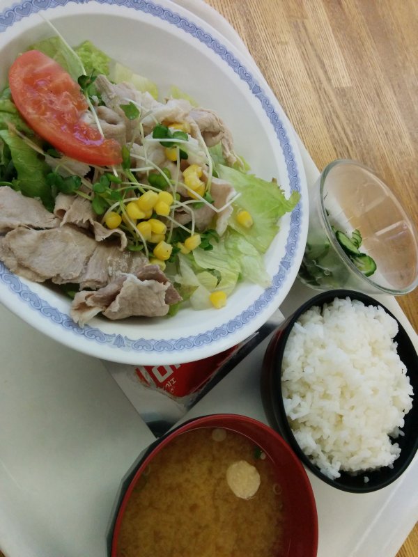 本日の昼食