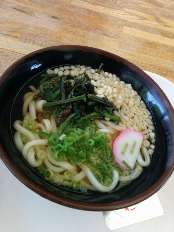 本日の昼食