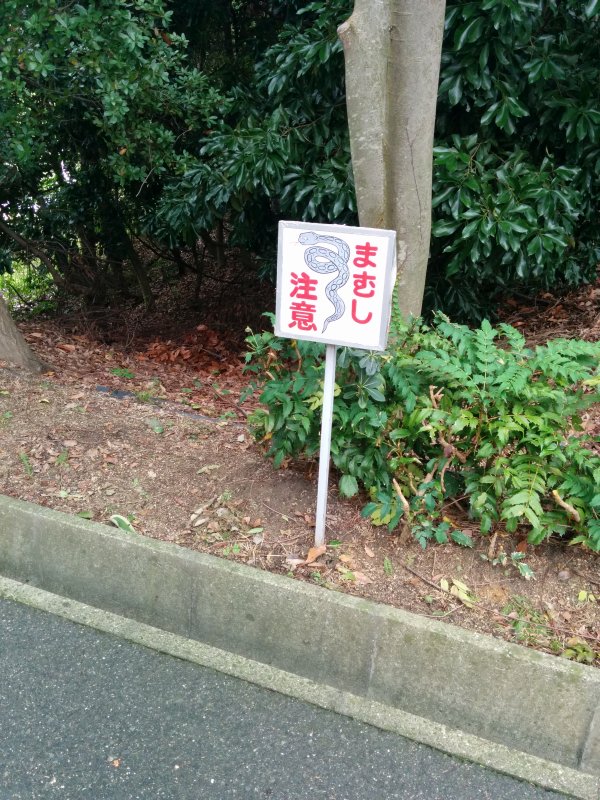 本日の通勤