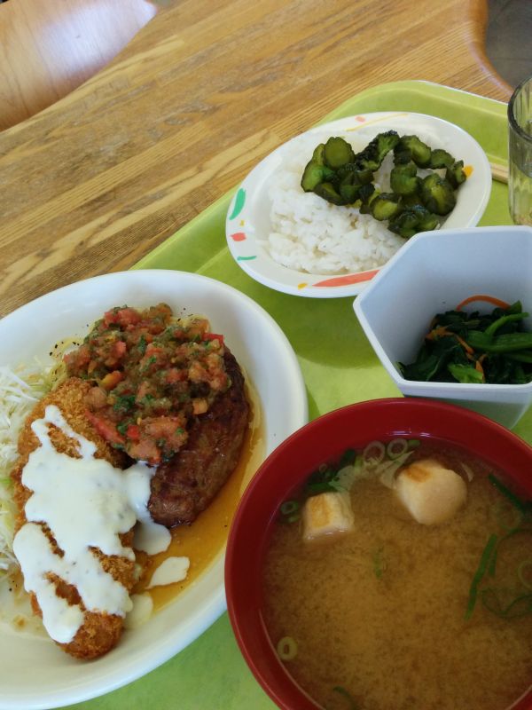 本日の昼食