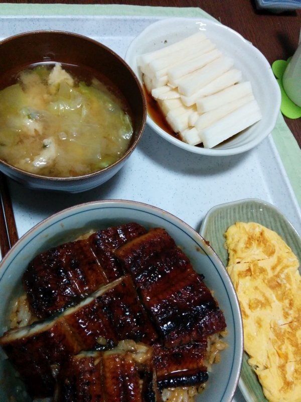 本日の夕食