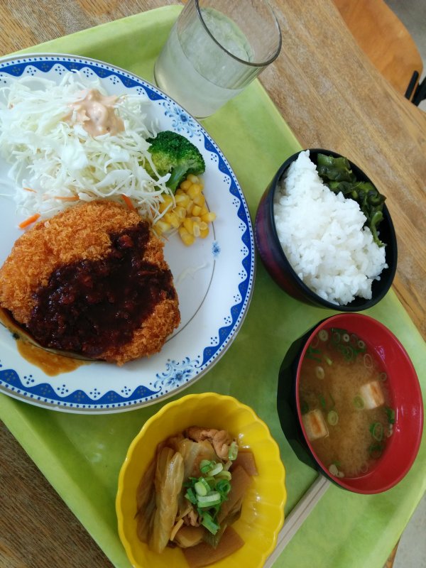 本日の昼食