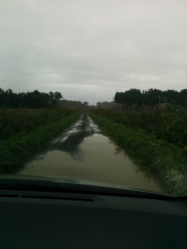 湿地までの道路