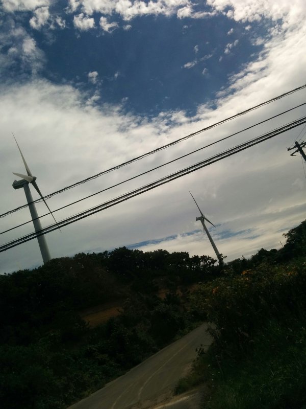 風力発電