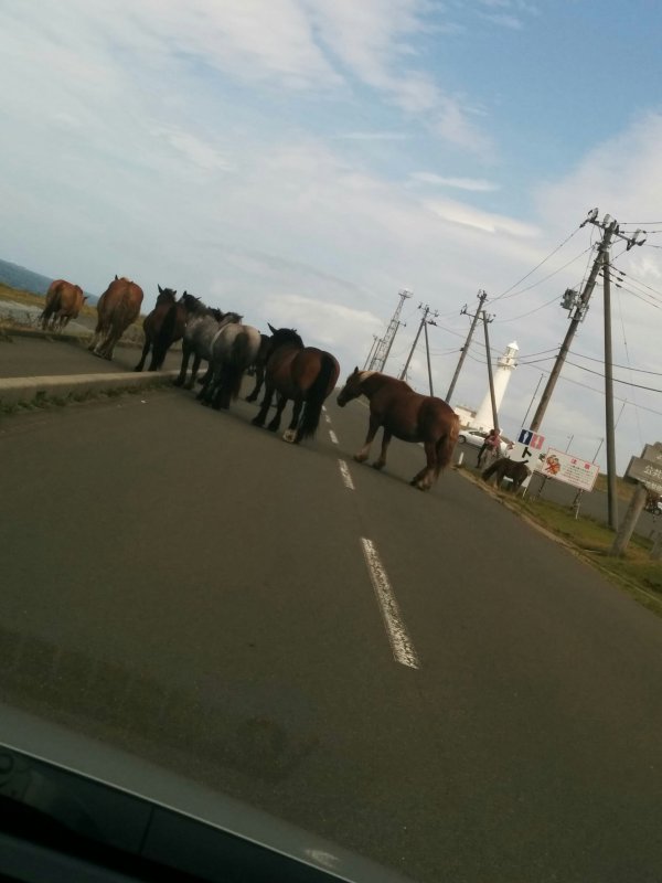 道を通せんぼ