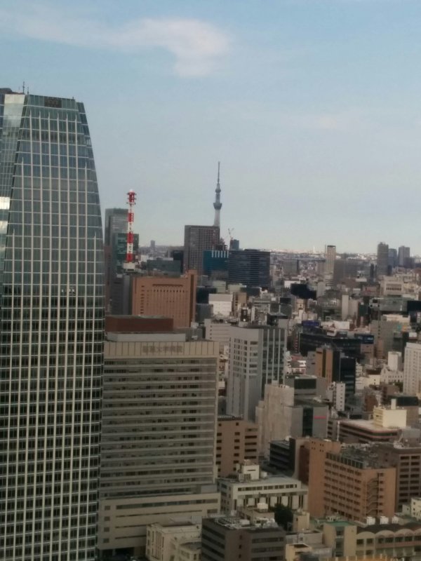 東京タワーから見るスカイツリー