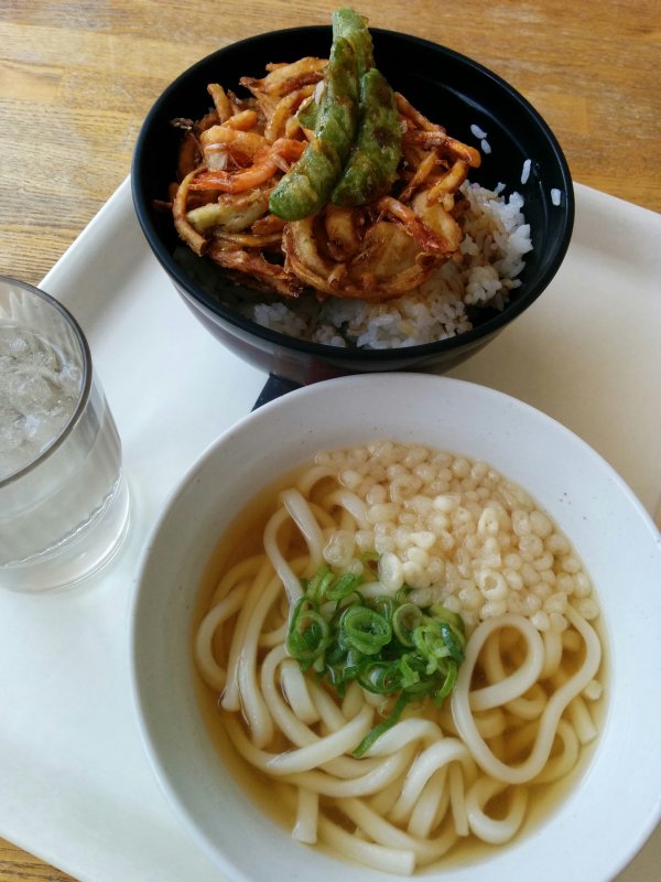 本日の昼食