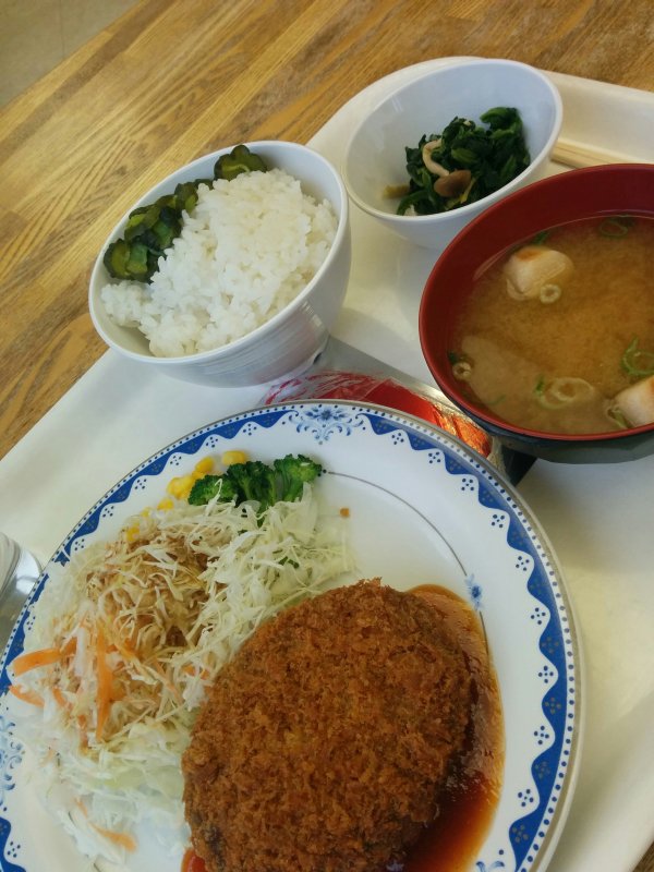 本日の昼食