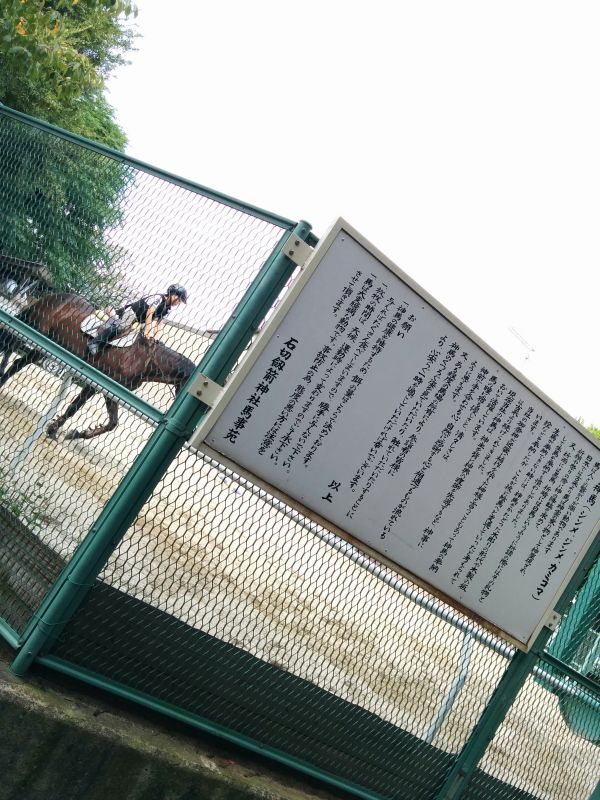 石切劔箭神社馬事苑