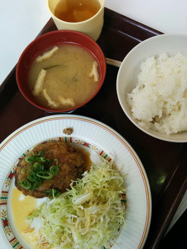 本日の昼食