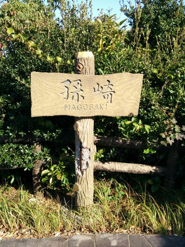 孫崎