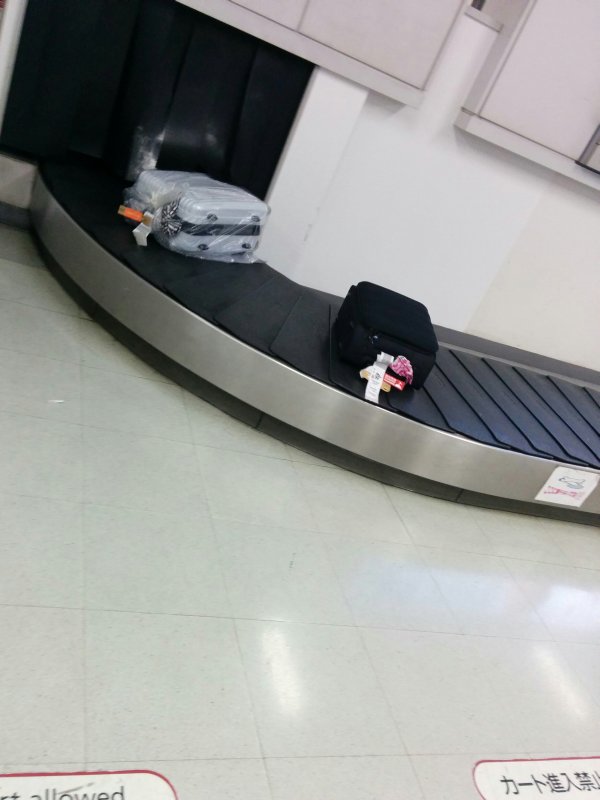 本日のお荷物順