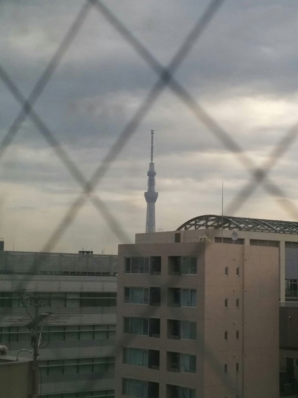 宿から見る東京スカイツリー