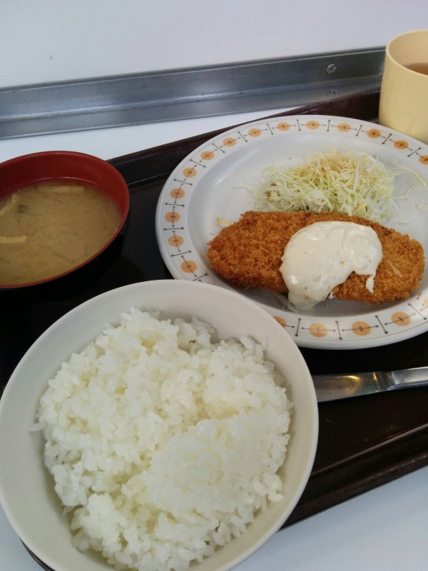 本日の昼食