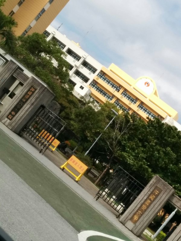 沖縄国際大学