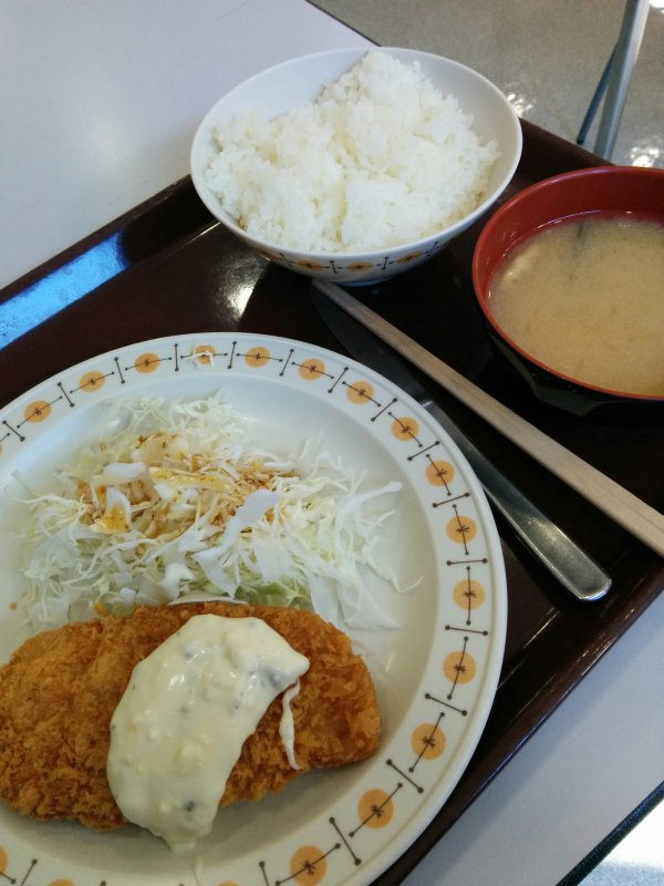 本日の昼食