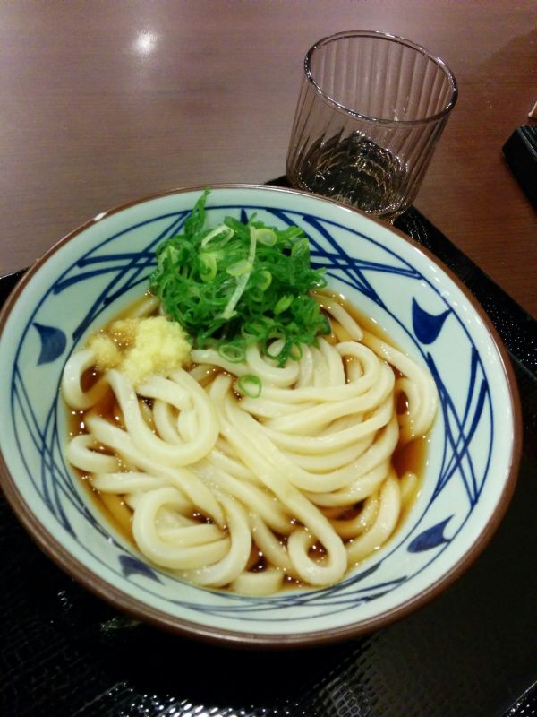 本日の昼食