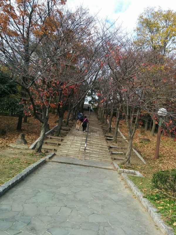 登山路