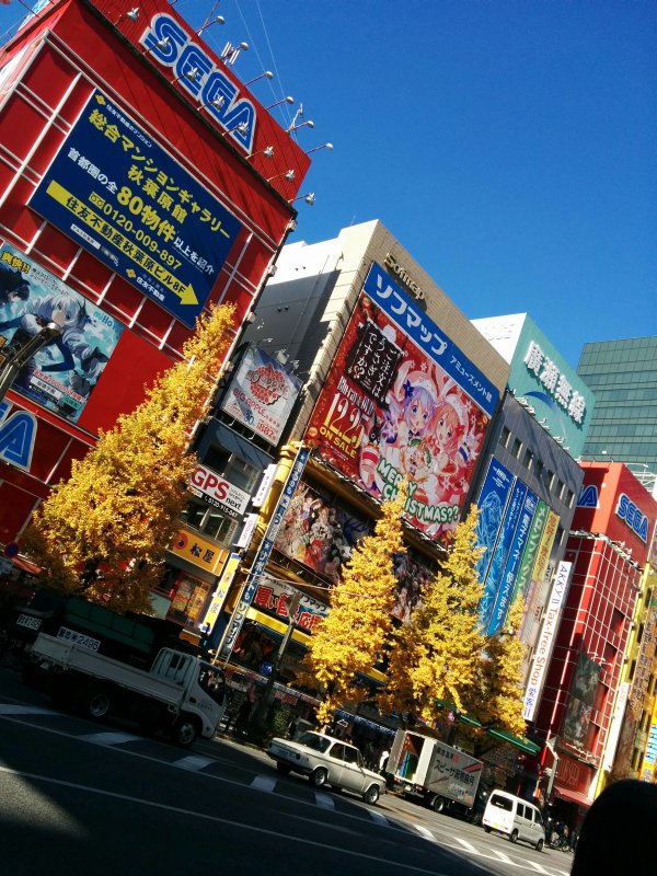 本日の秋葉原