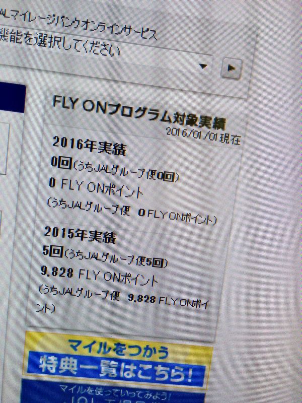 去年のJAL便搭乗実績