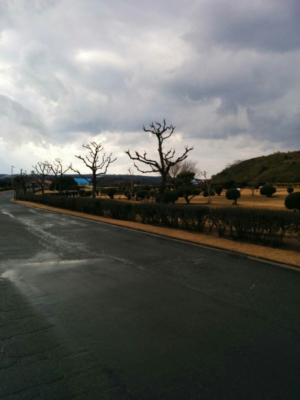 園内風景