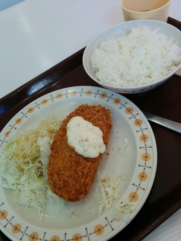 本日の昼食