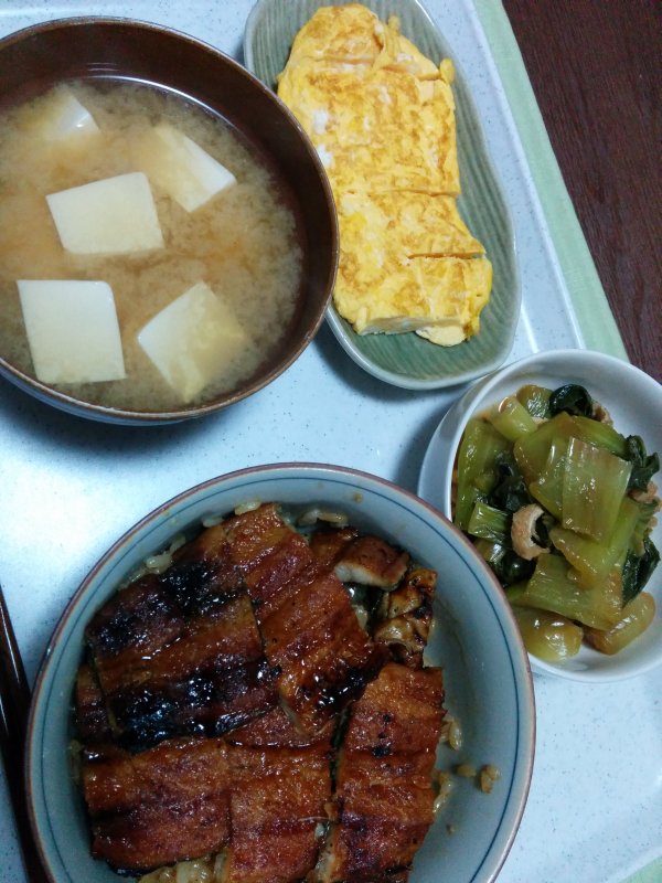 本日の夕食