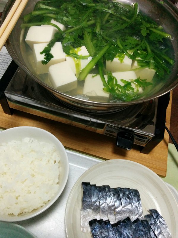 本日の夕食