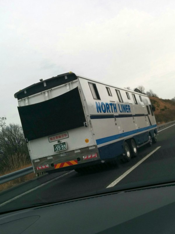 競走馬輸送中