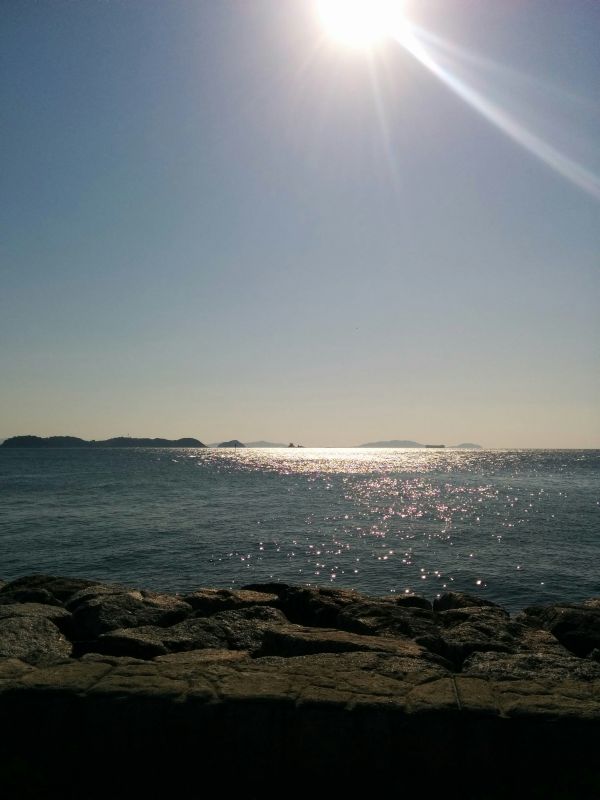 海の景色