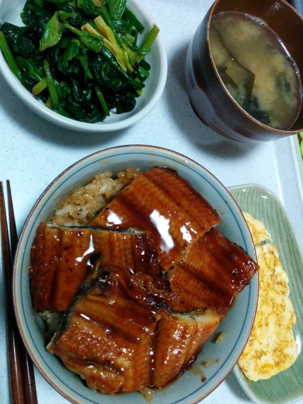 本日の夕食