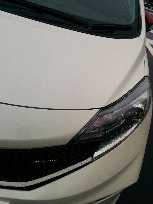 天然の洗車