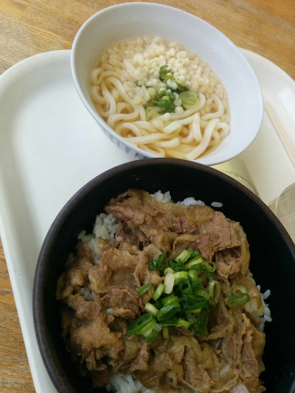 本日の昼食