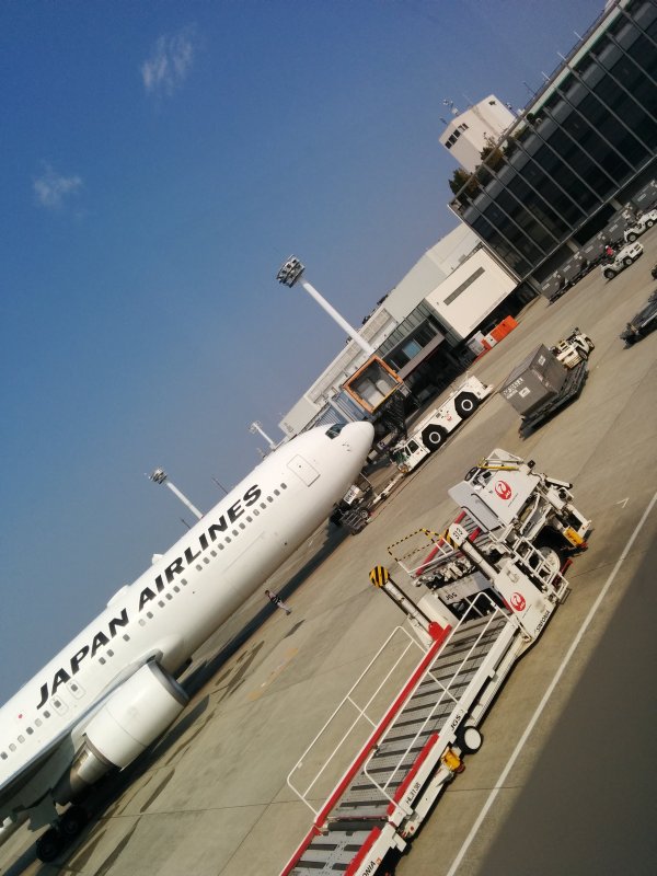 飛行機の撮影場所